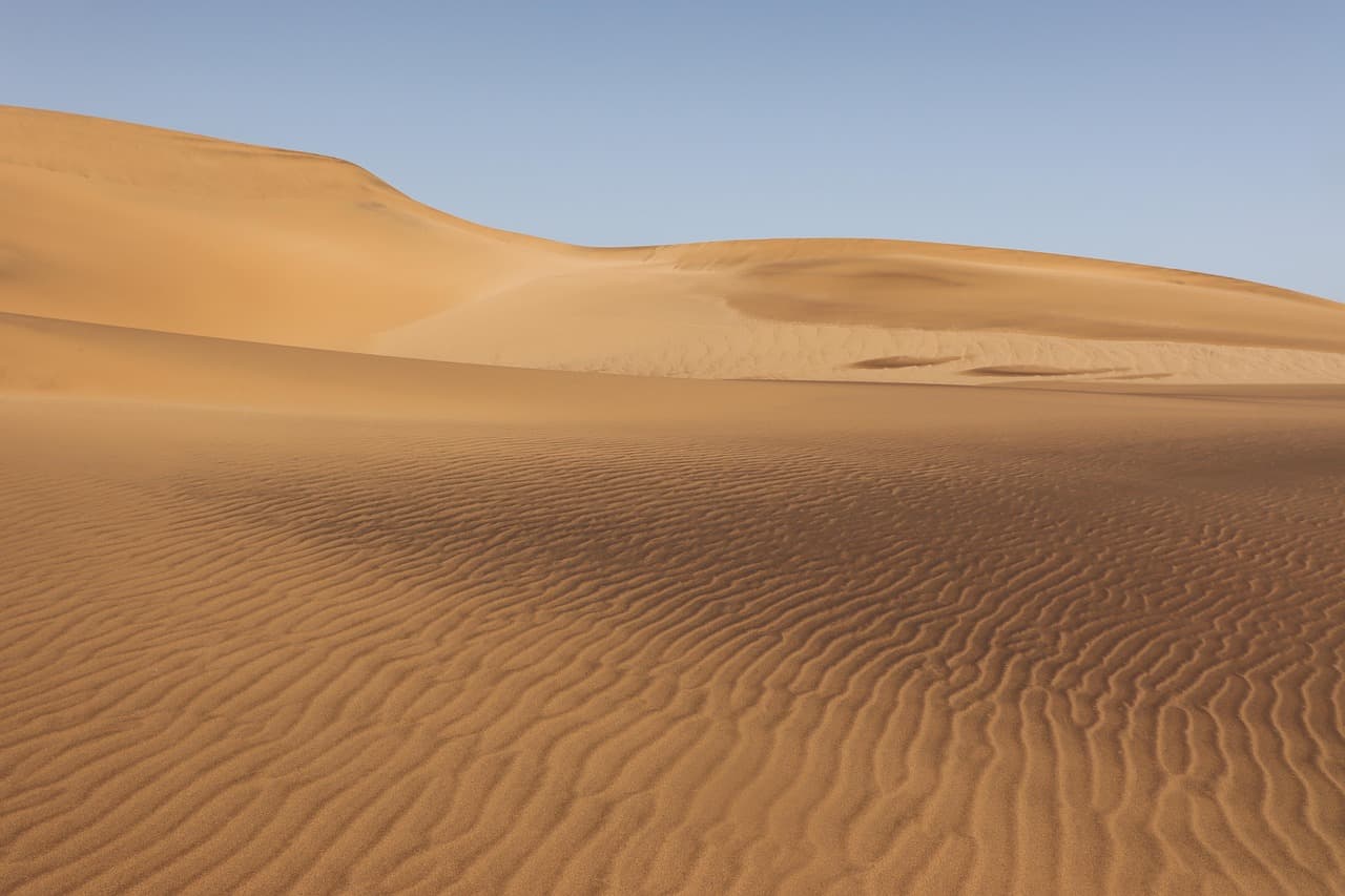 The 2030 Mirage: Why 'Process-Based' Publishing is a Predatory Paradise