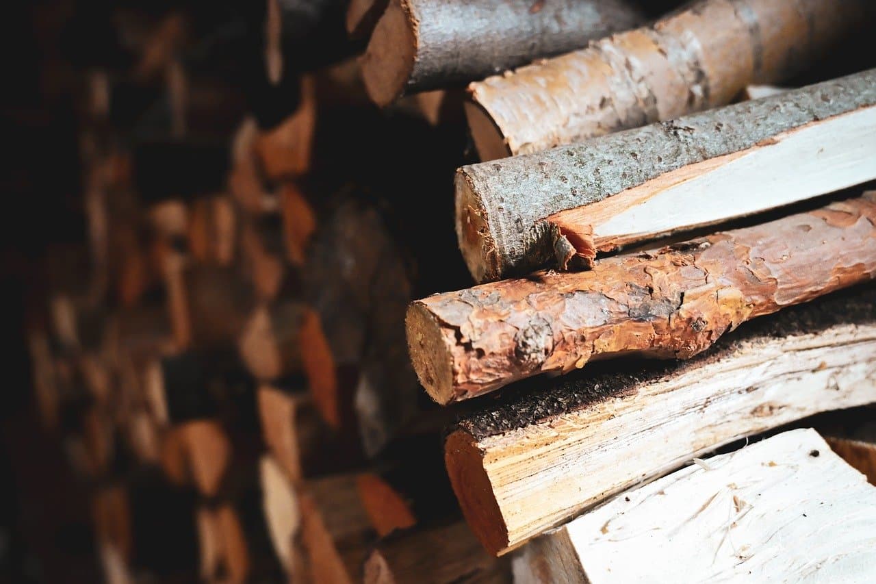 The Conference Laundry: How 'Proceedings' Became the New Dark Alley of Predatory Publishing