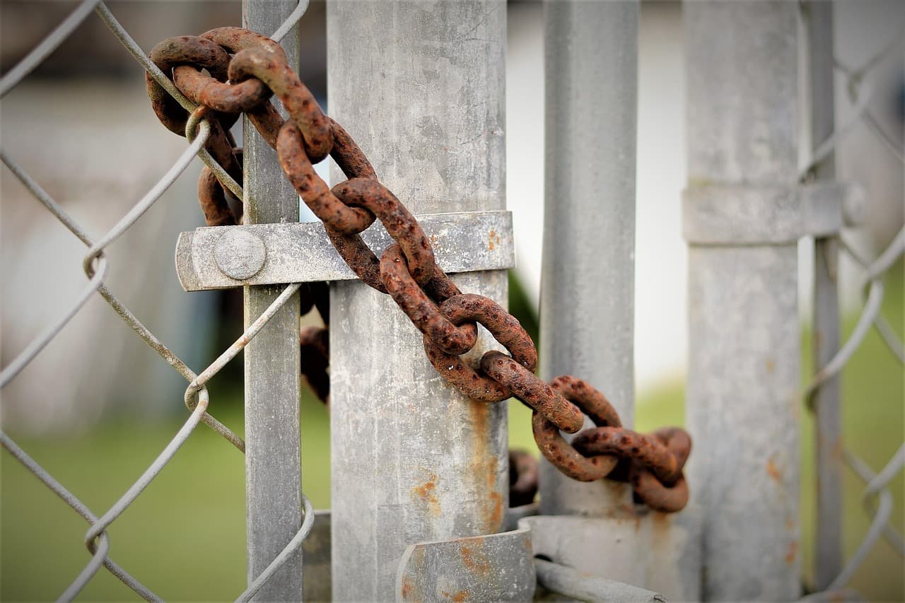 The Graying Gatekeepers: Why Our Failure to Engage the Next Generation is a Gift to Predatory Publishers