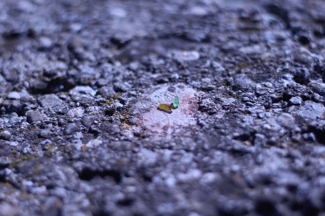 The Integrity Paradox: Why Transparency is the New Predator's Cloak
