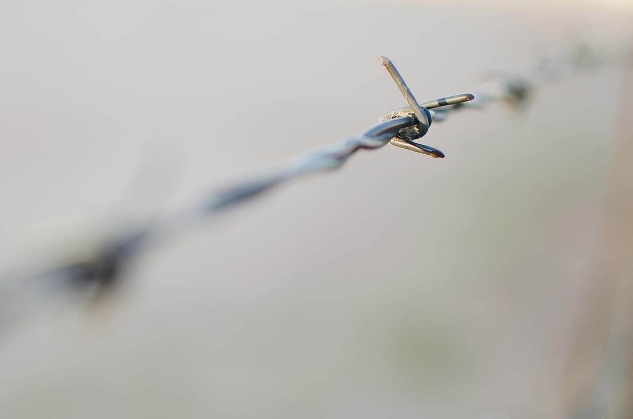 The Link-Laundering Cartel: How Search Dominance Validates Predatory Parasites