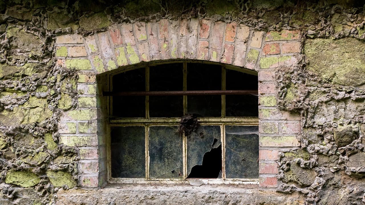 The Pedagogy of Deception: Why Peer Review is the Perfect Shield for Statistical Fiction