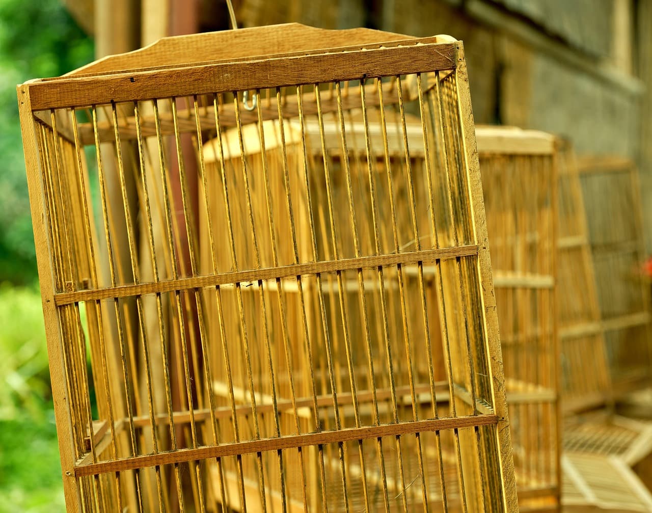 The Validation Trap: How Predatory Journals Weaponize 'Rigor' to Silence True Innovation